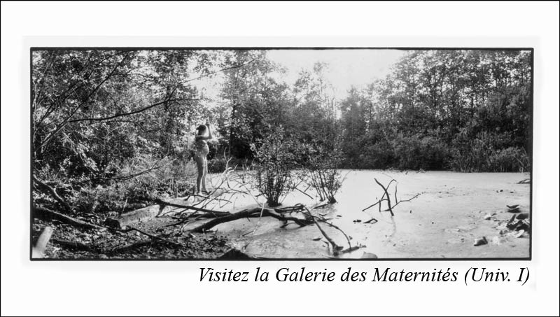 Actualit�s Philippe Lavialle